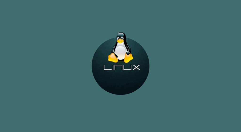 The difference between Windows and Linux - Nim_bit_S